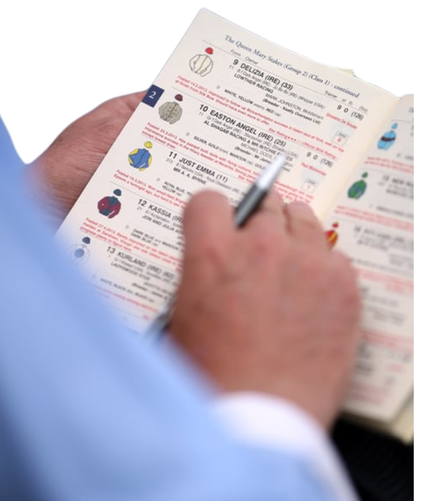 how to read race horse form