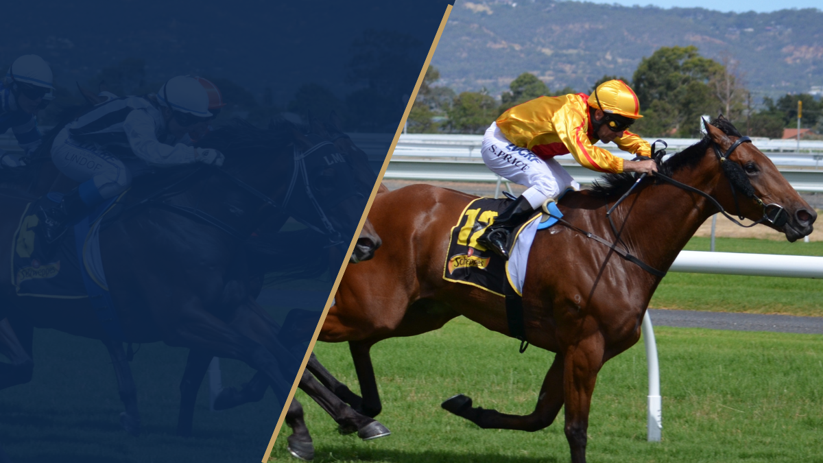 Horse Race Analysis 31/03/2025
