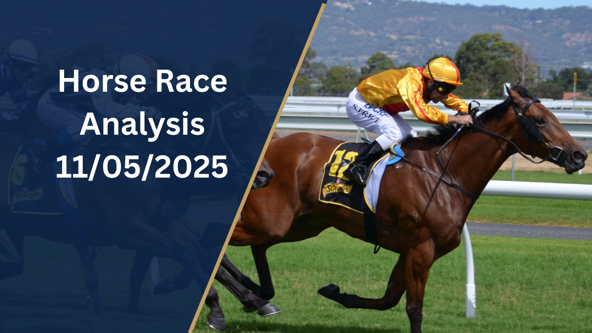 Horse Racing Analysis Today 11/05/2025